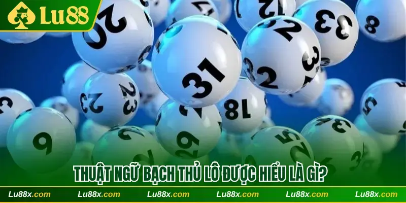 Thuật ngữ bạch thủ lô được hiểu là gì?